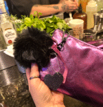 Chaveiro PomPom Preto | Edição Limitada Metaverso - Imagem 2